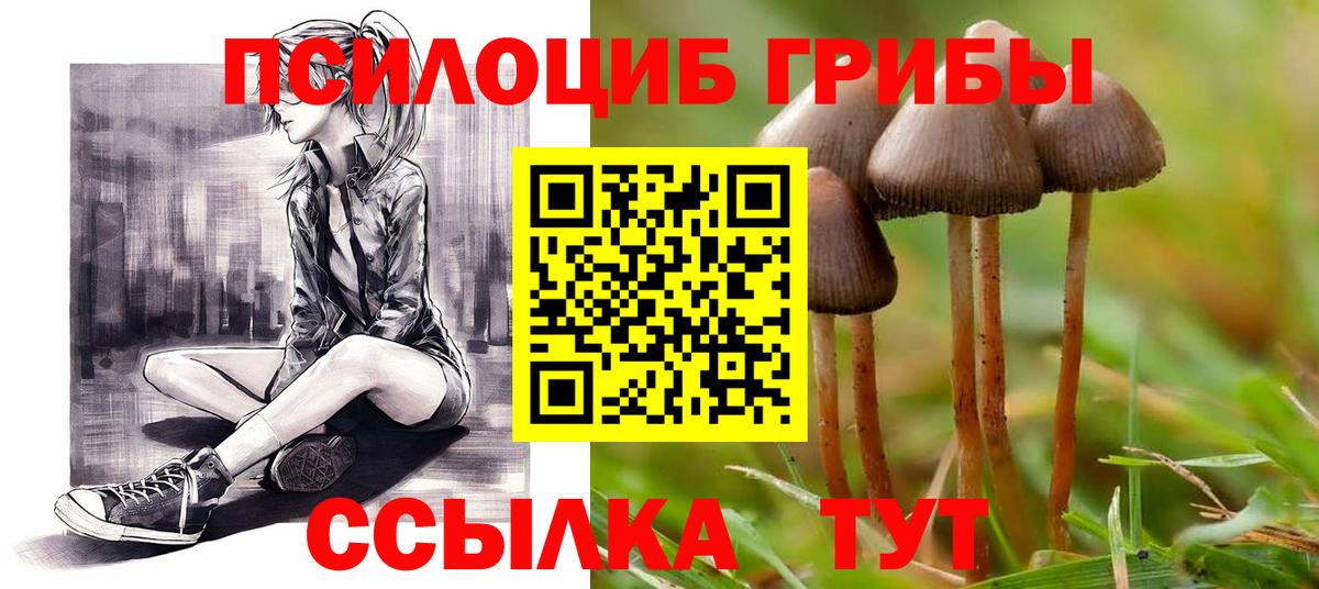 Галлюциногенные грибы Psilocybine cubensis Зерноград