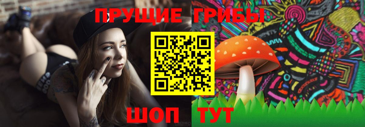 Зерноград  Псилоцибиновые грибы MAGIC MUSHROOMS  Вход с VPN 